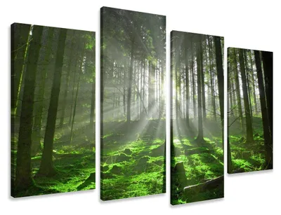 Obrázok produktu pre Obraz na plátne Les 4-dielny 130x80 cm zarámovaný