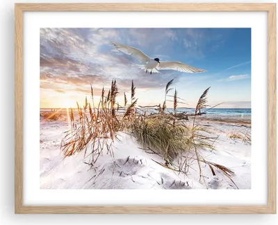 Produktbild von Gerahmtes Poster - Rahmen in heller Eiche - Möwe Meer Küste - 50x40 cm - Wand Bild - Wanddeko - Wandbilder - Kunstposter - Wandposter - Bilderrahmen - Bilder - Kunstdruck - P2NAA50x40-4902