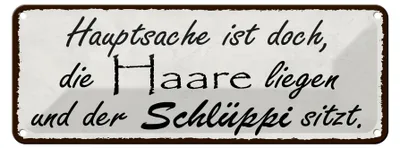 Produktbild von Blechschild Spruch 27x10cm Hauptsache doch die Haare liegen Dekoration