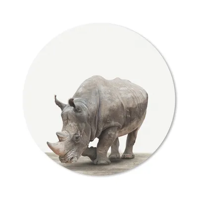 Produktbild von MuchoWow® Mauspad Mousepad Nashorn - Jungen - Wildtiere - Kinder - Mädchen - Tiere 30x30 cm - Mousepads - Maus Mat - Pad - Mausunterlage - Tischunterlage - Schreibtischmatten