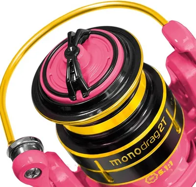 Produktbild von Delphin Queen MonoDRAG 2T 2000 Frontbremsrolle