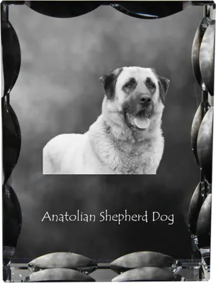 Obrázek produktu pro Anatolský pastevecký pes - krystal s fotografií psa, skleněná soška s fotografií, jedinečný rám s fotografií značky Art-Dog