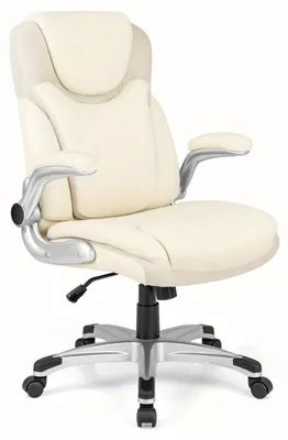 Obrázek produktu pro Ergonomická kancelářská židle - Kancelářská židle - Pracovní židle - Pohodlná židle - Kancelářský nábytek - Béžová barva