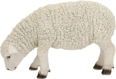 Produktbild von FADEDA Schaf äsend  / Höhe:25 cm / handbemalt / detailgetreue Krippen Figuren - Weihnachten Tisch Dekoration Krippe Zubehör