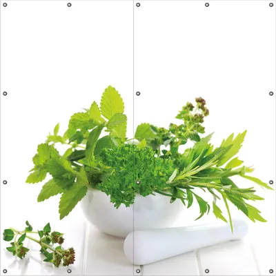Produktbild von Wallario Outdoor-Poster für Garten oder Balkon, Motiv Welt der Kräuter - verschiedene Kräuter in einem weißen Mörser, in ca. 180 x 180 cm