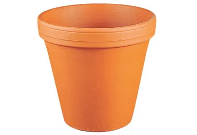 A terracotta pot on a white background.