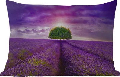 Produktbild von MuchoWow® Outdoor Kissen - Lavendel - Baum - Lila - Wolken - 50x30 cm - Wetterfest - Lounge Kissen - Sofa kissen - Wohnzimmer Dekoration
