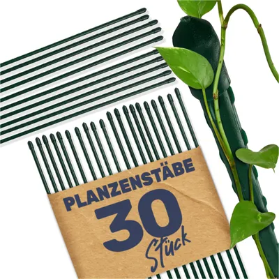 A bundle of green plant stakes is shown with a plant vine wrapped around one of the stakes.