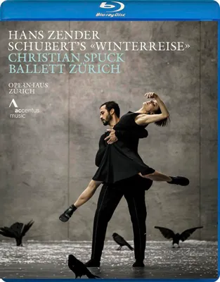 Zdjęcie produktu dla Peter, M: Winterreise