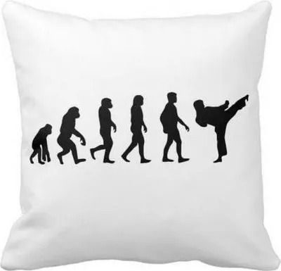 Produktbild von Kissen Evolution Karate - Taekwondo