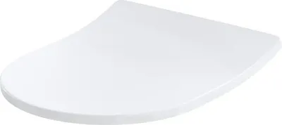 A white toilet seat is shown against a white background.