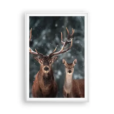 Produktbild von Gerahmtes Poster - Weißer Rahmen - Hirsch Rentier Reh - 70x100 cm - Wand Bild - Wanddeko - Wandbilder - Kunstposter - Wandposter - Bilderrahmen - Bilder - Kunstdruck - P2WPA70x100-5060