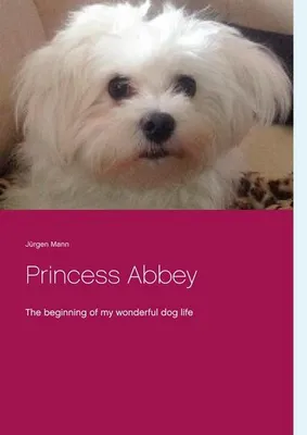 Image de Princess Abbey