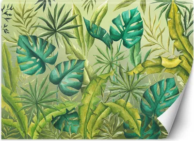 Produktbild von Vlies fototapete Monsterblätter 150x105 cm Feeby Beige inkl. Kleber einfache Montage