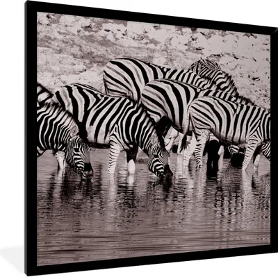Produktbild von MuchoWow® Gerahmtes Poster Zebras im Wasser 40x40 cm - Poster mit Schwarzem Bilderrahmen Wandposter Rahmen Foto Bilder - Mit Rahmen - Wanddekoration Schlafzimmer