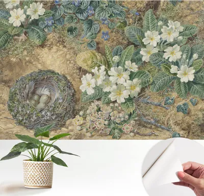 Produktbild von Fototapete selbstklebend - 152x104 cm - Tapete - Wandtapete - Wandbilder - Klebefolie - Dekofolie - Tapete Folie - Wand - Dekoration - Wohnzimmer - Frühlingskomposition