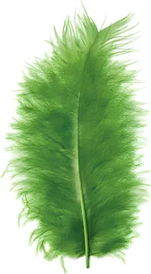 Produktbild von Glorex Marabufedern hellgrün ca. 15 Stück