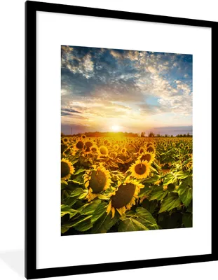 Produktbild von MuchoWow® Gerahmtes Poster Blumen - Sonnenblume - Himmel 60x80 cm - Poster mit Schwarzem Bilderrahmen Wandposter Rahmen Foto Bilder - Wohnzimmer - Dekorationen - Prämie