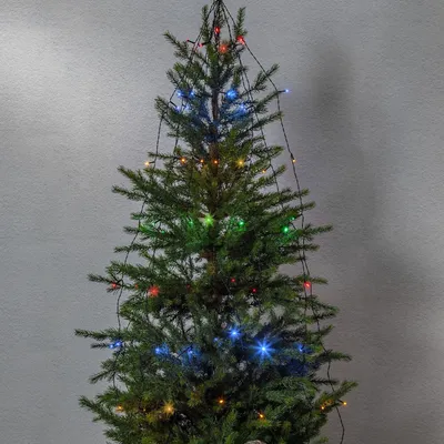 Produktbild von Outdoor-Lichterkette bunt Akku 64 LEDs 8 Stränge Timer 270x140cm