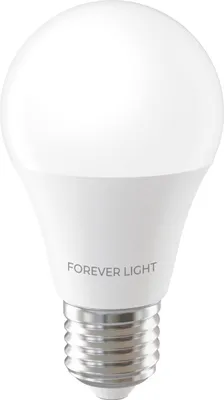 Produktbild von Forever Light LED-Glühbirne E27 A55 4 W 480 lm 6000 K
