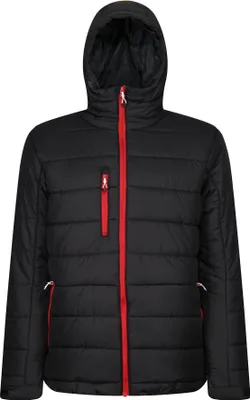 Produktbild von Regatta Professional - Steppjacke für Herren RG9401 (L) (Schwarz/Rot)