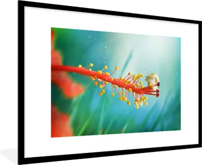 Produktbild von MuchoWow® MuchoWow® Gerahmtes Poster Schnecke - Pflanze - Baum 90x60 cm - Poster mit zchwarzem Bilderrahmen - Wanddekoration - Fotos
