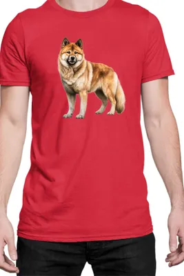Obrázok produktu pre Mužské Tričko Dogs Breeds Akita Dog Breed 006, Man S / Červená
