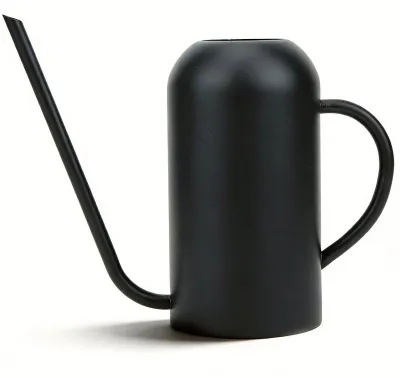Gießkanne 1,5 l, Edelstahl, lange Auslauf, für Innen & Außen