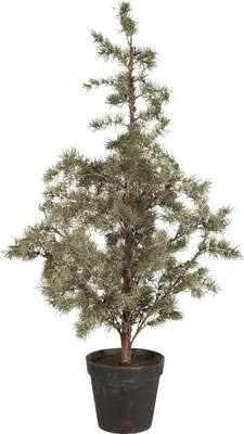 Produktbild von IB Laursen Weihnachtsbaum ZEDER mit Plastiktopf groß | Ø 60 H120cm