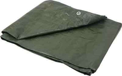 Immagine prodotto di Telone BSD - Telone impermeabile, telone in tessuto, telone protettivo - Spesso - Verde - 80g/m? - 5x8m