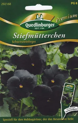 Produktbild von Quedlinburger Saatgut - Stiefmütterchen Schornsteinfeger - Samen - 292168