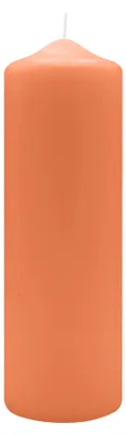 Produktbild von Spitzkopf Stumpen Kerzen Lachs 25 x Ø 8 cm, 6 Stück
