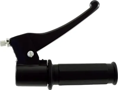 Image de Throttle Control Piaggio W/ Gr