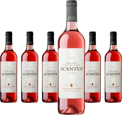 Produktbild von 6 x Bodegas Olarra Acantus Rosado