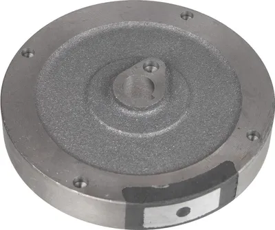 Zdjęcie produktu dla Koło magnesowe Cedrus silnik Y170V 484117