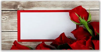 Produktbild von Glasbilder 120x60 Wandbild Druck auf Glas Rosen Pflanzen