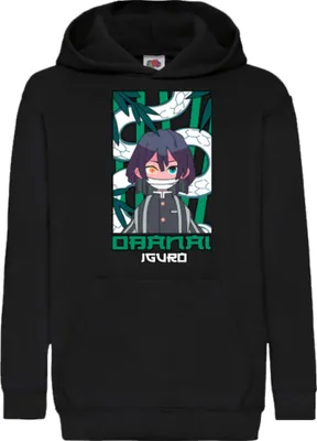 Immagine prodotto di Felpe con cappuccio per bambini Japan Anime Manga Demon Anime Slayer Giyu Tomioka Hashira, 9-11 Jahr - 140 / Gris