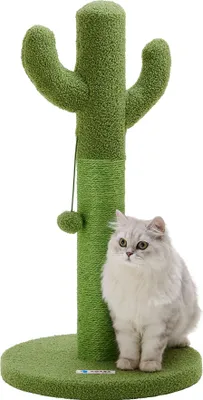 A cat sits on the base of a cactus-shaped cat scratching post.