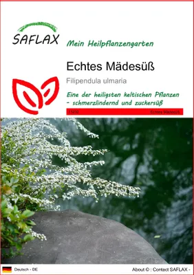 Produktbild von SAFLAX - Heilpflanzen - Echtes Mädesüß - 500 Samen - Filipendula ulmaria