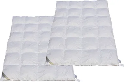 Produktbild von 2 Stück Betten Hofmann TRAUM  Daunenbetten Ganzjahresdecken 4x6  135x200 cm  100% neue Daunen