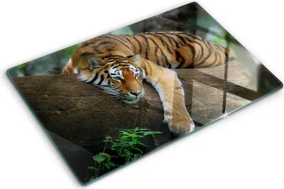 Produktbild von Tulup Glas Herdabdeckplatte - 80x52 cm - Glaskeramikkochfeld-Abdeckung Spritzschutz Glasabdeckplatte - Einteilig - Tiere - Tiger auf dem Baum - Braun