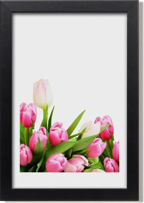 Produktbild von Bild 20x30 MDF-Rahmen, Wandkunst Rosa Tulpen