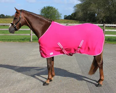 Produktbild von Fleecedecke color mit kreuzgurten Fuchsia 155
