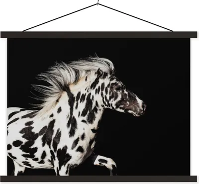Produktbild von MuchoWow® Textilposter Pferd - Dots - Schwarz 40x30 cm mit schwarzem Rahmen - Dekorationen