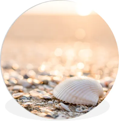 Produktbild von MuchoWow® Rundes Wandbild - Runde Bilder Muscheln - Weiß - Strand - Sommer Ø 90 cm Kreis Wanddekoration Kunststoff - Wandkreis - Wandschmuck - Wand-Kreis - Wohnzimmer - Bild - Runde - Wanddeko - Dibond - Kunstdrucke