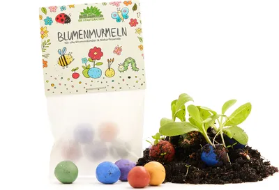 Produktbild von 10x 5 Blumenmurmeln im Pergaminbeutel I Mitgebsel Kindergeburtstag I Abschiedsgeschenk Kindergarten