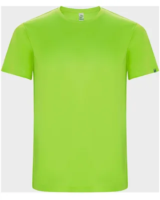 Image de Roly Eco CA0427 | MenŽs Imola T-Shirt fonctionnel - 50% polyester recyclé - Couleur : Fluor Green 222 - Taille : L