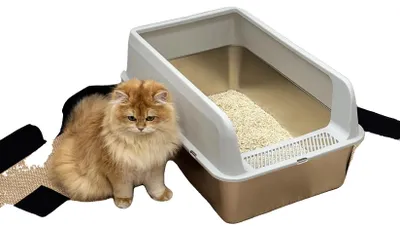 Obrázek produktu pro Kočičí toaleta, vysoký design, snadné čištění, světle šedá