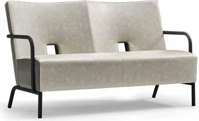 Image de Design moderne canapé 2 places 2 places cuir rembourré salon gris bois
