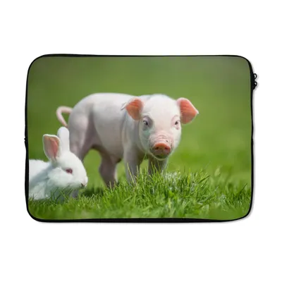Produktbild von MuchoWow® Laptop Hülle 13 Zoll Ferkel - Kaninchen - Tiere Laptoptasche - Laptophülle - Sleeve - Rundumschutz